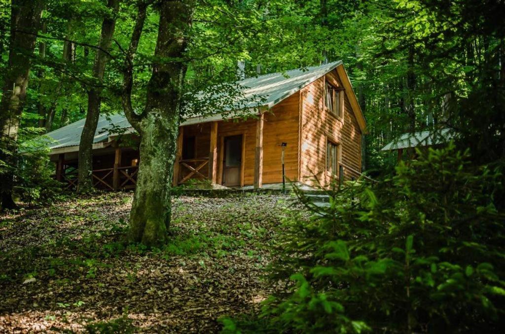 База Відпочинку Шиповець Poroshkovo Exterior foto