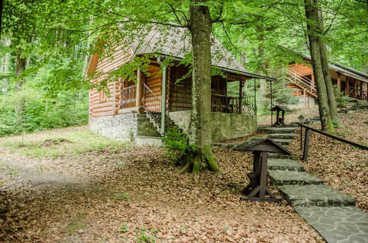 База Відпочинку Шиповець Poroshkovo Exterior foto