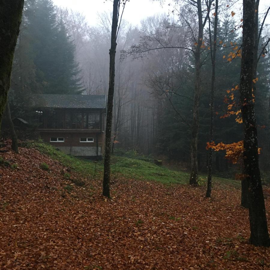 База Відпочинку Шиповець Poroshkovo Exterior foto