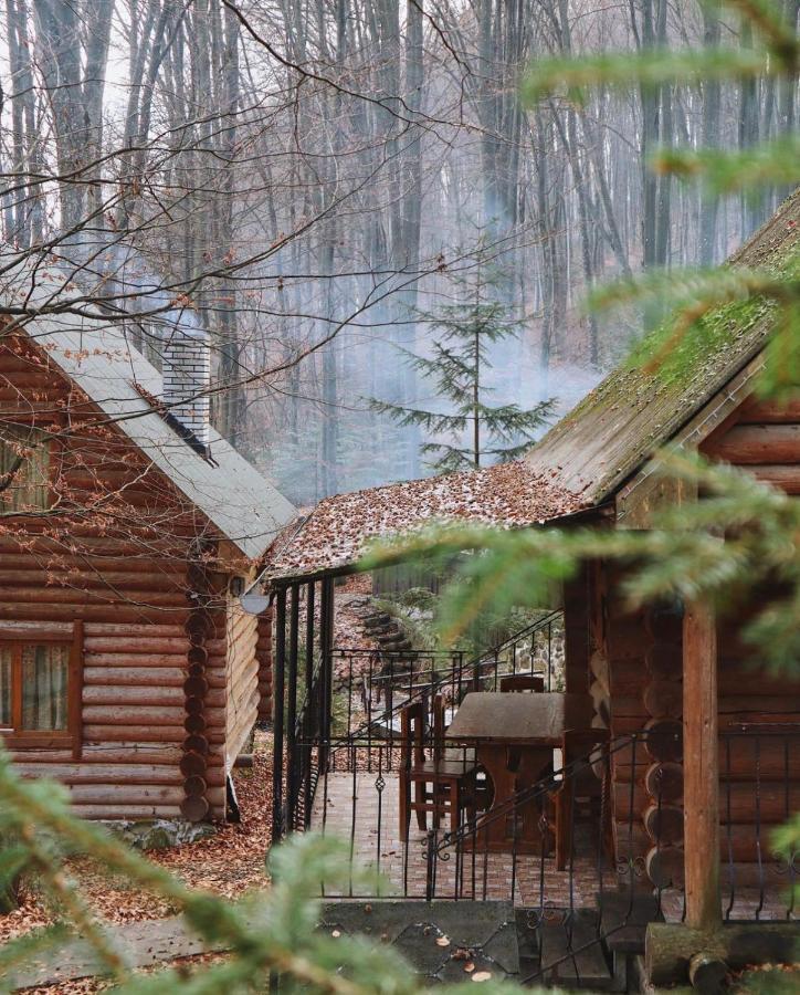 База Відпочинку Шиповець Poroshkovo Exterior foto