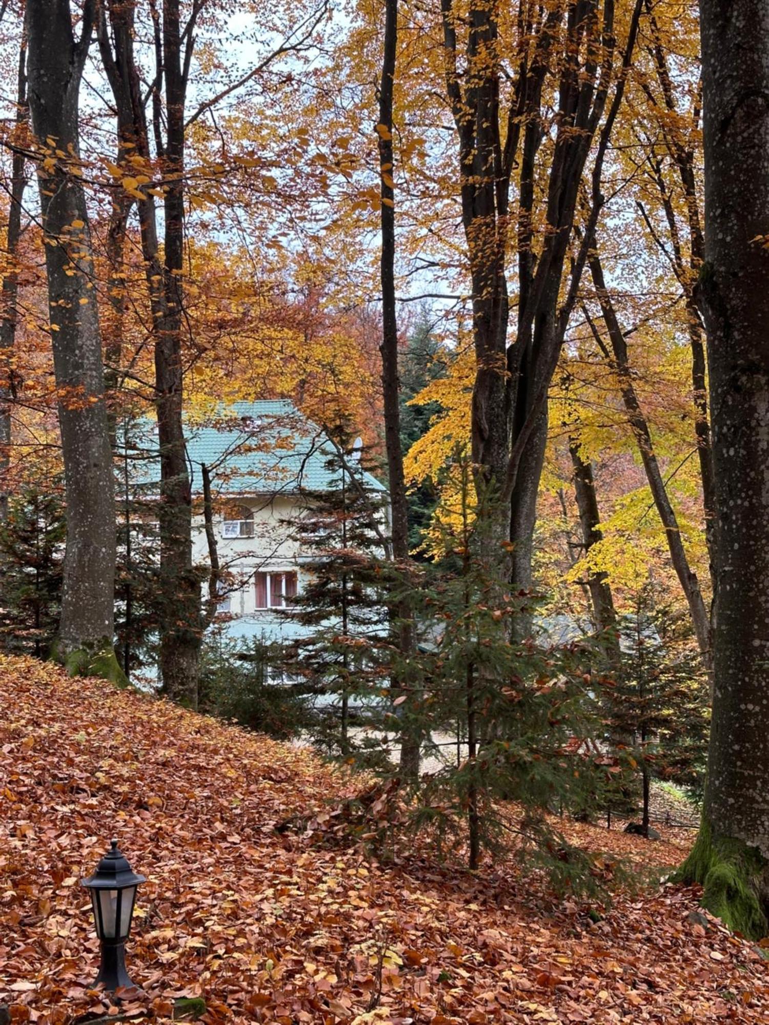 База Відпочинку Шиповець Poroshkovo Exterior foto