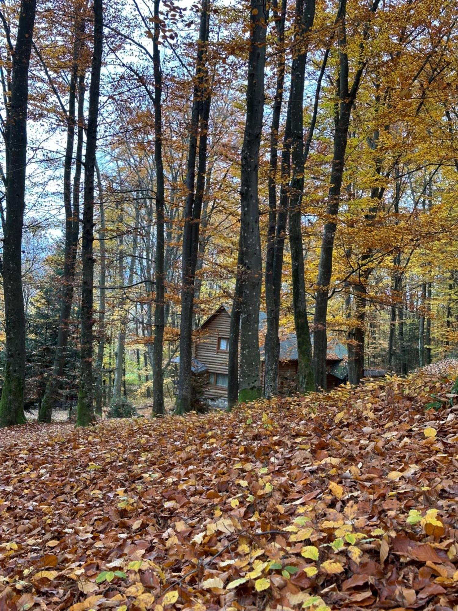 База Відпочинку Шиповець Poroshkovo Exterior foto